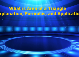 Area of a Triangle - Explanation, Formulas, and Applications