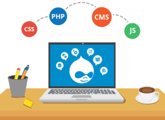 Which Is The Best Drupal Web Development Company?