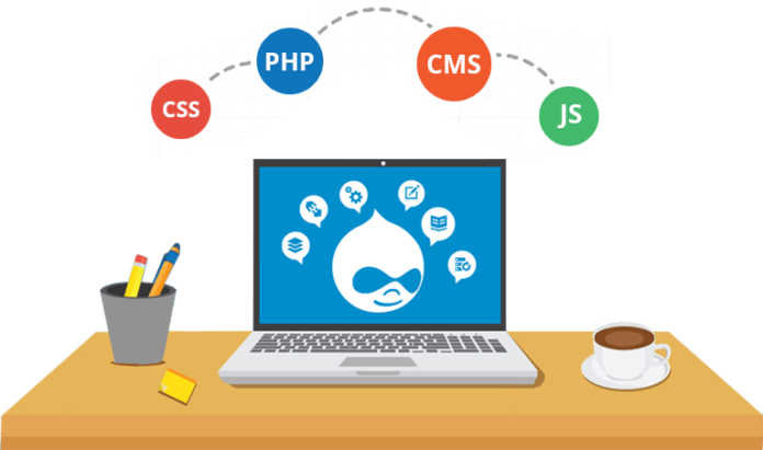 Which Is The Best Drupal Web Development Company?