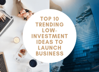 Top 10 Trending Low-Investment Ideas To Launch Business