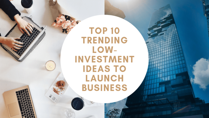 Top 10 Trending Low-Investment Ideas To Launch Business